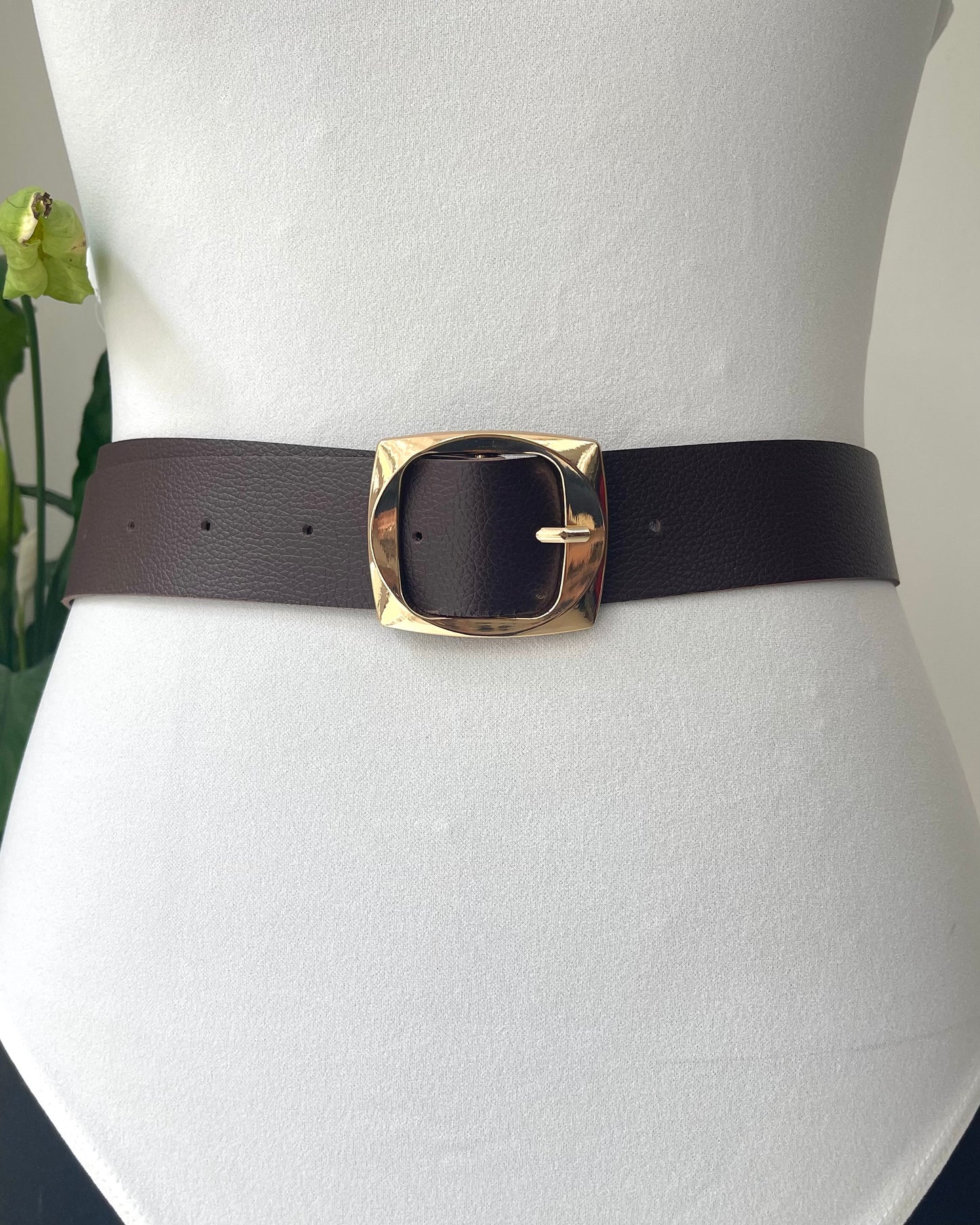 Ζώνη LAKE brown/gold